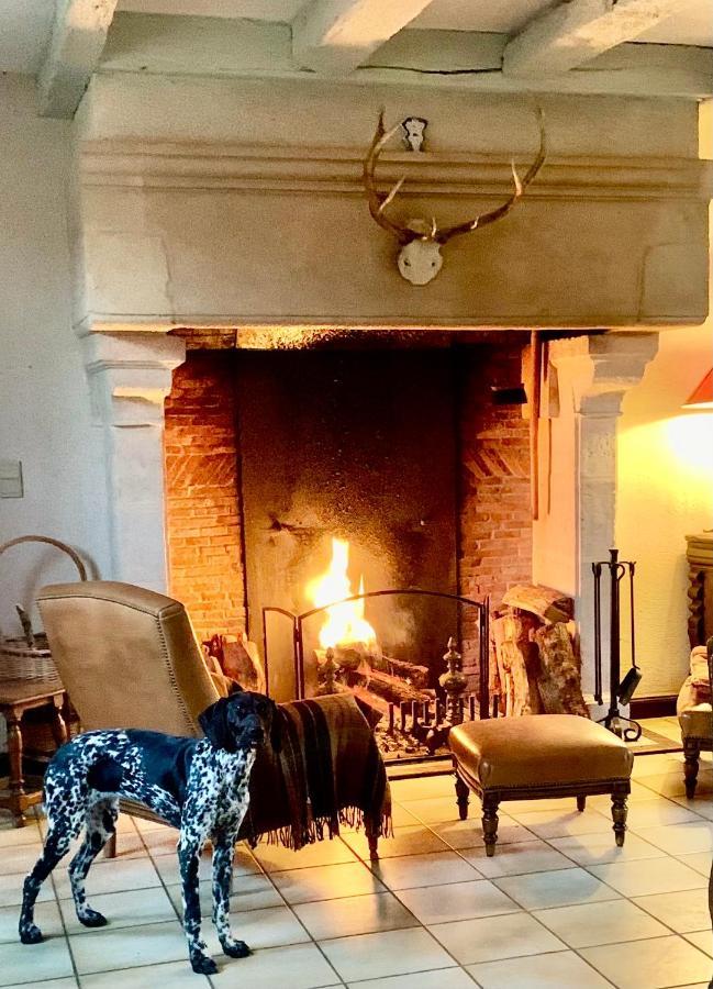 Logis De La Touche Bed & Breakfast Saint-Hilaire-des-Loges Екстериор снимка