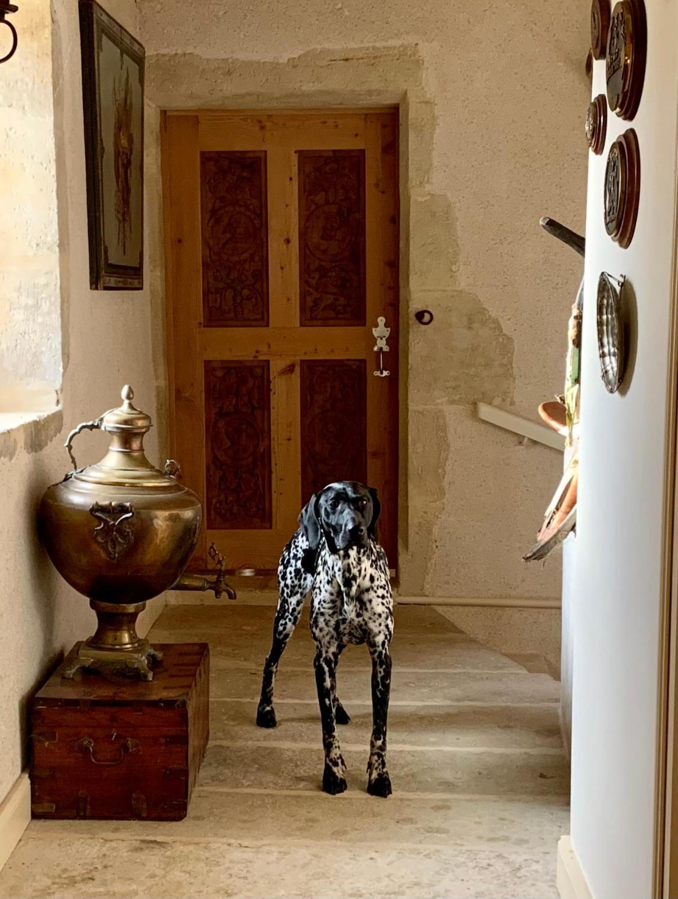 Logis De La Touche Bed & Breakfast Saint-Hilaire-des-Loges Екстериор снимка